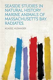 Seaside Studies in Natural History. Marine Animals of Massachusetts Bay. Radiates.